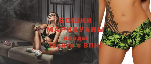 ГАЛЛЮЦИНОГЕННЫЕ ГРИБЫ Коряжма