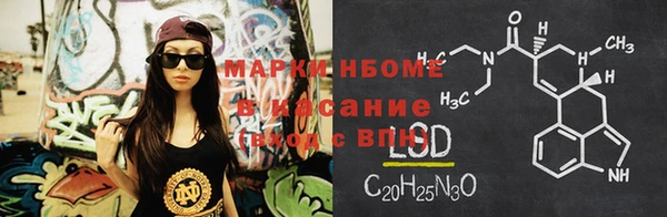 ГАЛЛЮЦИНОГЕННЫЕ ГРИБЫ Коряжма