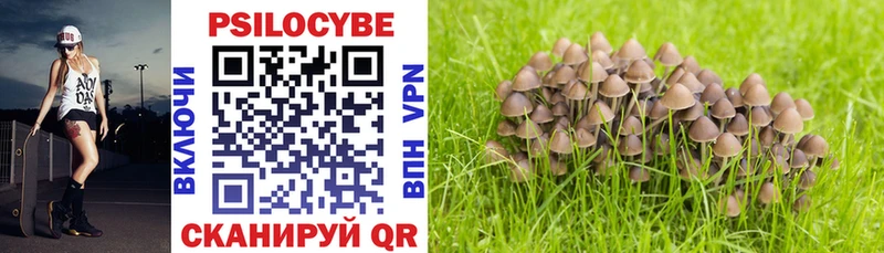 Купить закладки  Кашин  Галлюциногенные грибы MAGIC MUSHROOMS 